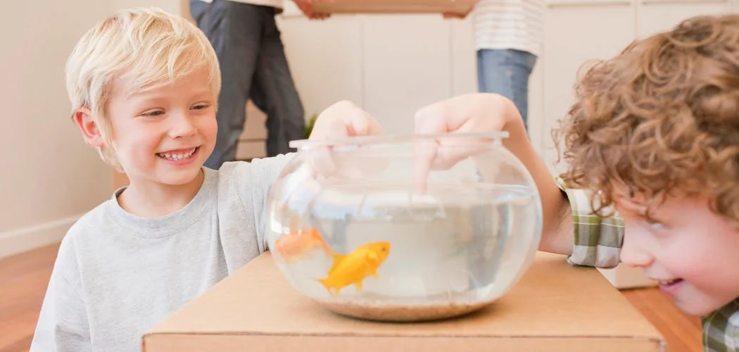 déménager un aquarium