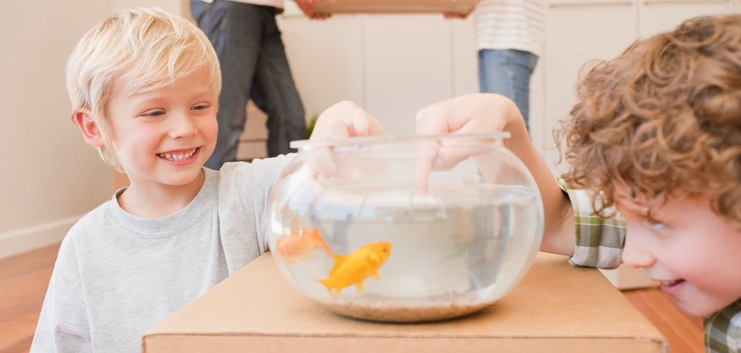 déménager un aquarium